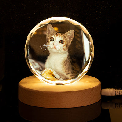 Custom Laser Engraved Crystal Photo Ball with Pet Portraits - The Pet Pillow