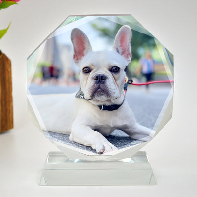Round Crystal Etched Photo Ornaments Personalized Pet Engraved Glass Picture Frames - The Pet Pillow