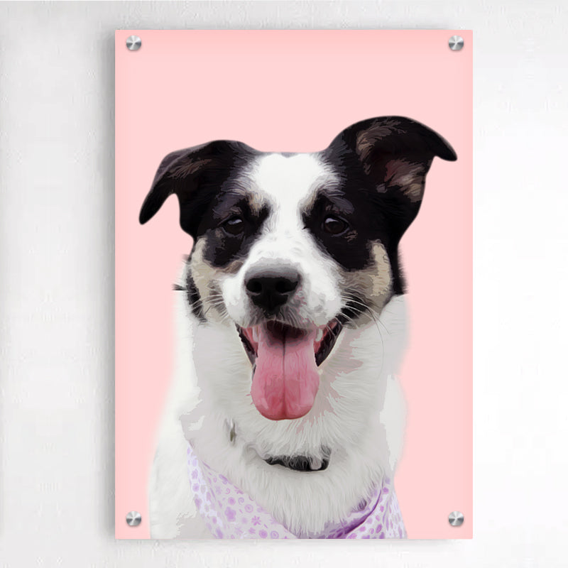 Personalized Pet Plexiglass Floating Frame Acrylic Picture Frames Wall Art - The Pet Pillow