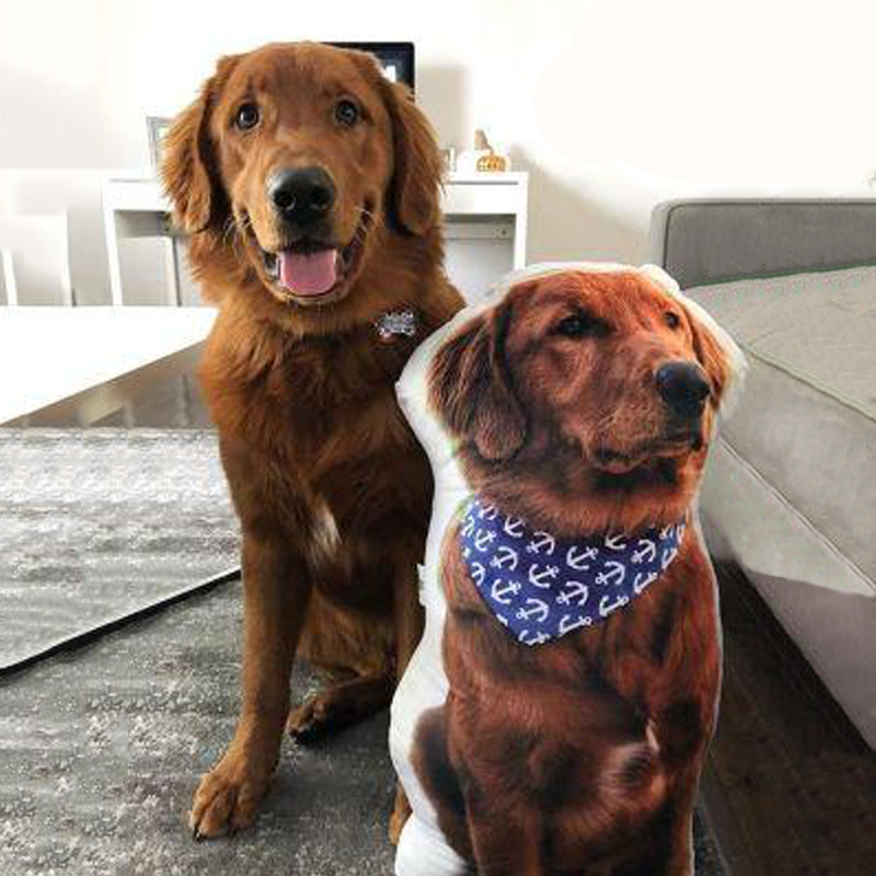 Custom dog top pillow picture