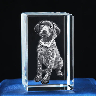 Custom Pet 3d Laser Crystal Photo Cube with Dog Portraits Personalized Pet Memorial Gift - The Pet Pillow