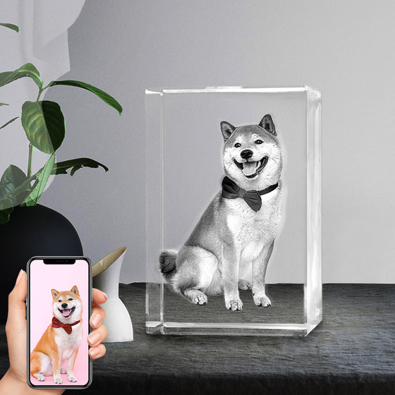 Custom Pet 3d Laser Crystal Photo Cube with Dog Portraits Memorial Gift