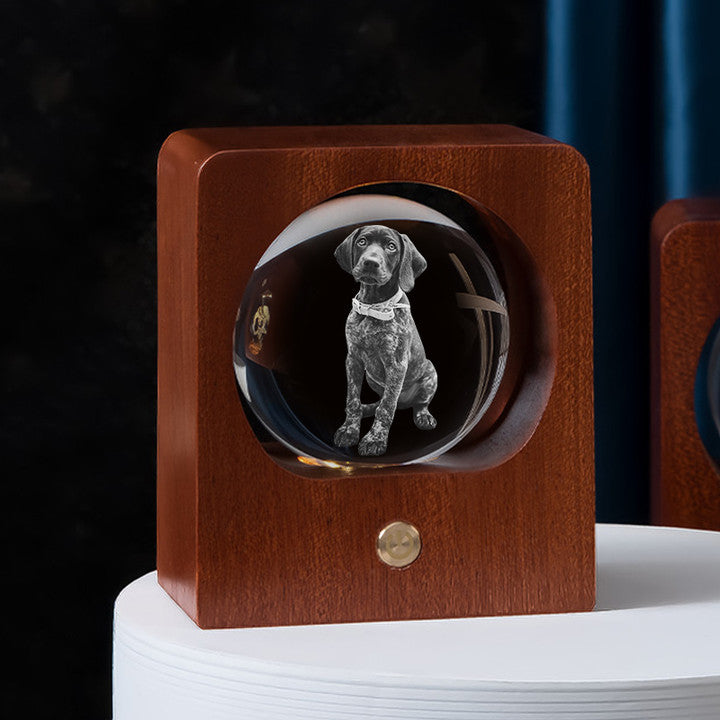 Personalized 3d Photo Crystal Light with Laser Engraved Pet Pictures - The Pet Pillow