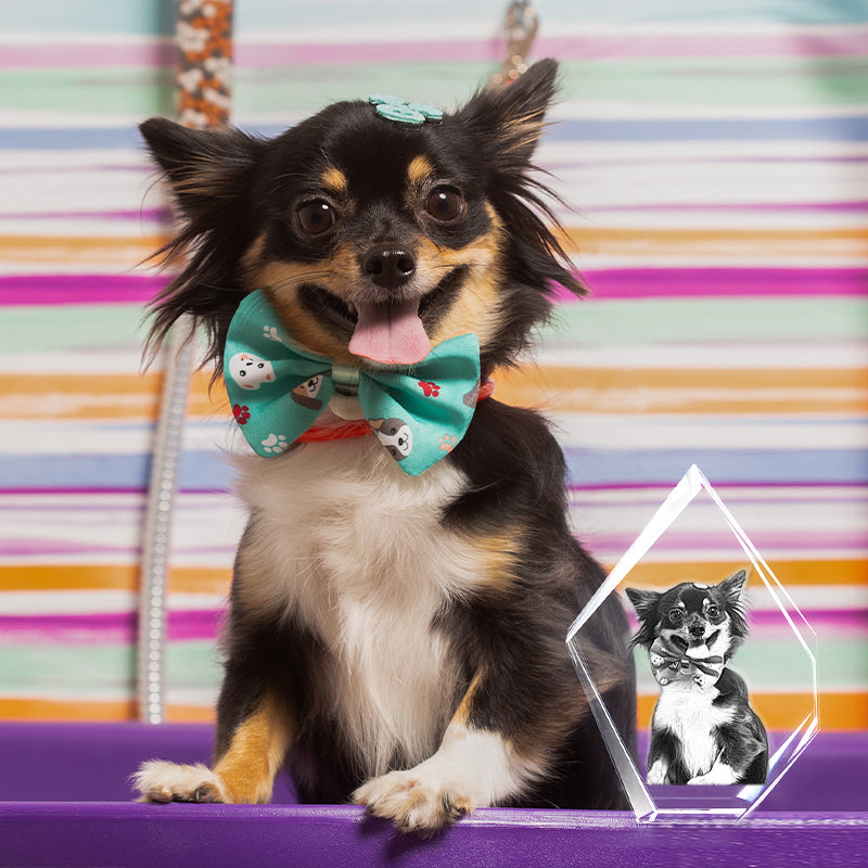 Custom Pet 3d Photos Crystal Prestige Personalized Dog Laser Etched Picture In Glass - The Pet Pillow
