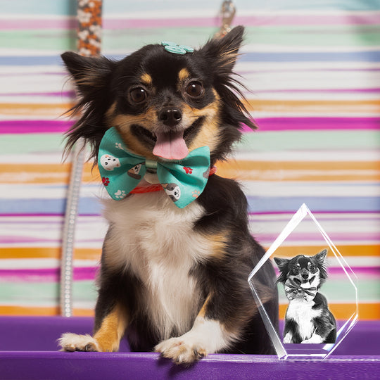 Custom Pet 3d Photos Crystal Prestige Personalized Dog Laser Etched Picture In Glass - The Pet Pillow