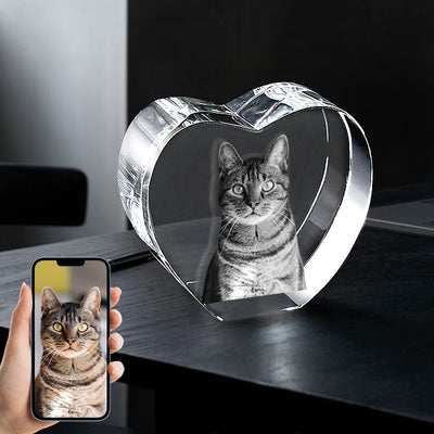 Personalized Pet Heart 3d Glass Photo Printing Custom Crystal Picture Laser Memorial Gift - The Pet Pillow