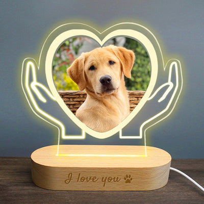Custom Acrylic Lights with Pet Photo Personalized Pet Picture Lamp with Name - The Pet Pillow