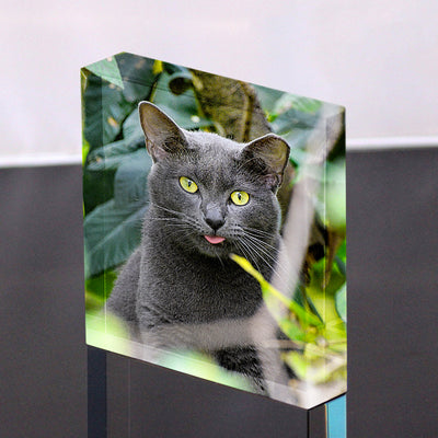 Custom Acrylic Photo Block Prints with Pet Photo Personalized Pet Keepsake Gift - The Pet Pillow