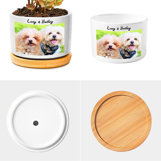 Custom Pet Ceramic Pots Personalized Flower Pots with Pictures for Home Decor, Office - The Pet Pillow