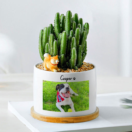 Custom Pet Ceramic Pots Personalized Flower Pots with Pictures for Home Decor, Office - The Pet Pillow