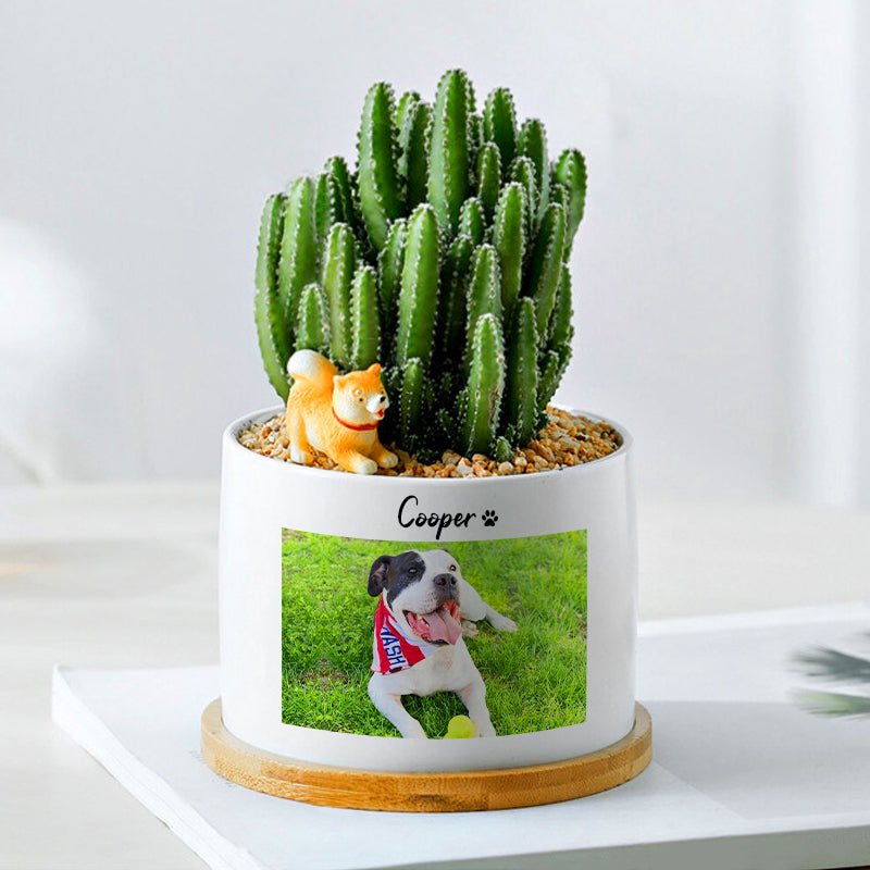 Custom Pet Ceramic Pots Personalized Flower Pots with Pictures