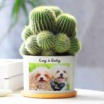 Custom Pet Ceramic Pots Personalized Flower Pots with Pictures for Home Decor, Office - The Pet Pillow