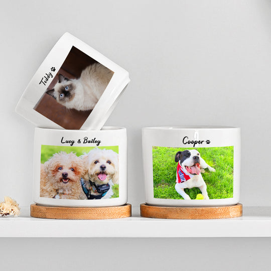 Custom Pet Ceramic Pots Personalized Flower Pots with Pictures for Home Decor, Office - The Pet Pillow