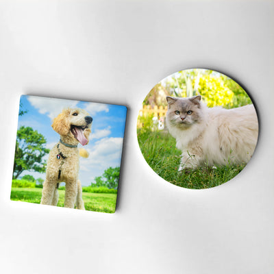 Pet Photo Custom Printed Ceramic Coasters Personalized Pet Anniversary Gift for Coffee - The Pet Pillow