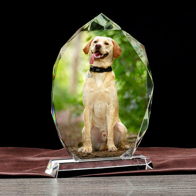 Custom Pet Crystal Picture Frame Personalized Etched Glass Photo Ornament - The Pet Pillow