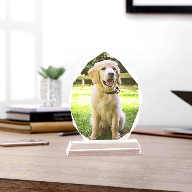 Custom Pet Crystal Picture Frame Personalized Etched Glass Photo Ornament - The Pet Pillow
