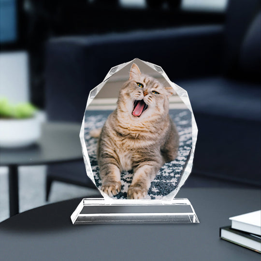 Custom Pet Crystal Picture Frame Personalized Etched Glass Photo Ornament - The Pet Pillow