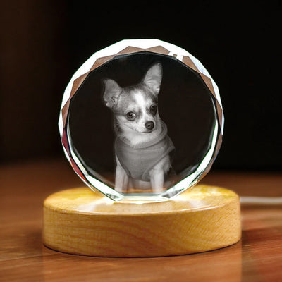 Custom Laser Engraved Crystal Photo Ball with Pet Portraits - The Pet Pillow