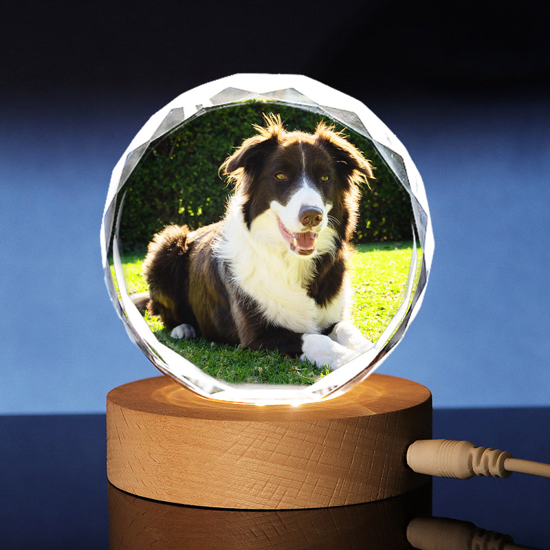 Custom Laser Engraved Crystal Photo Ball with Pet Portraits - The Pet Pillow