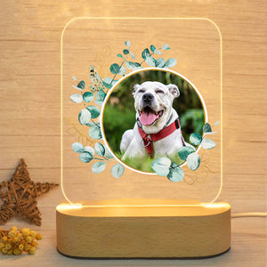 Customized Pet Photo Night Light with Garland Personalized Dog Memorial Gift - The Pet Pillow