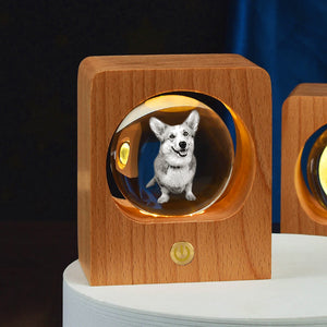 Personalized 3d Photo Crystal Light with Laser Engraved Pet Pictures - The Pet Pillow