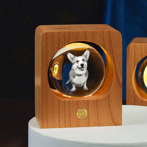 Personalized 3d Photo Crystal Light with Laser Engraved Pet Pictures - The Pet Pillow