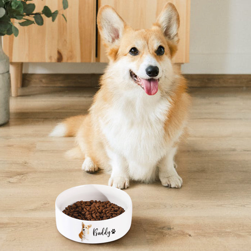 Personalized Ceramic Pet Bowls with Paw Print Custom Dog Bowl from Photo  and Name