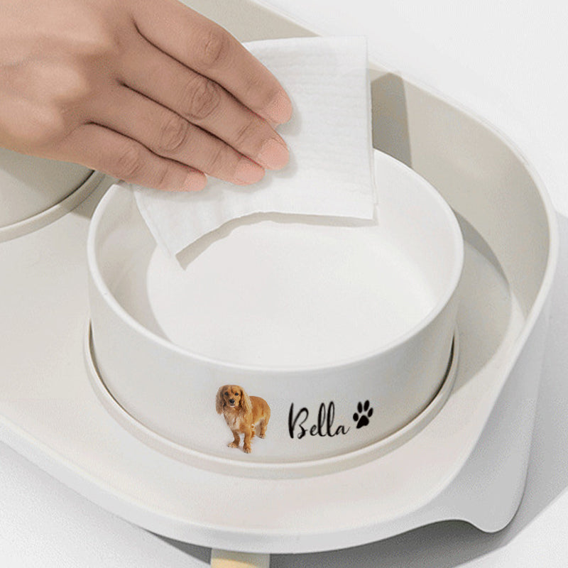 Personalized Ceramic Pet Bowls with Paw Print Custom Dog Bowl from Photo  and Name