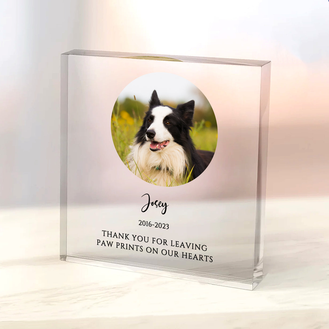 Personalized Dog Memorial Photo Acrylic Block Prints with Pet Picture for Home Decor - The Pet Pillow