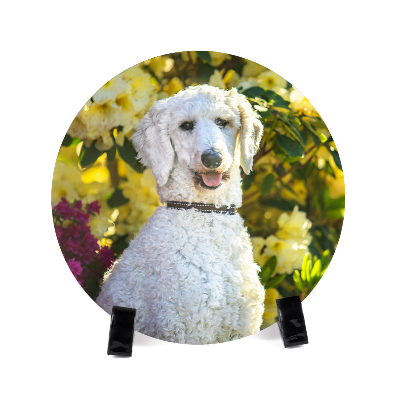 Personalized Pet Ceramic Picture Tiles Frame with Dog Portraits for Pet Memorial Gift - The Pet Pillow
