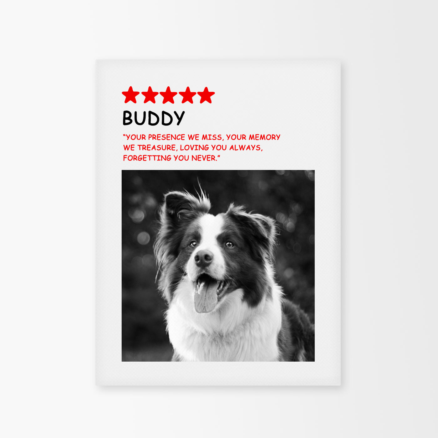 Personalized Pet Portraits Canvas Picture Prints Wall Art with Vogue 5 star Review - The Pet Pillow