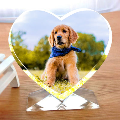 Custom Pet Crystal Picture Frame Personalized Etched Glass Photo Ornament - The Pet Pillow