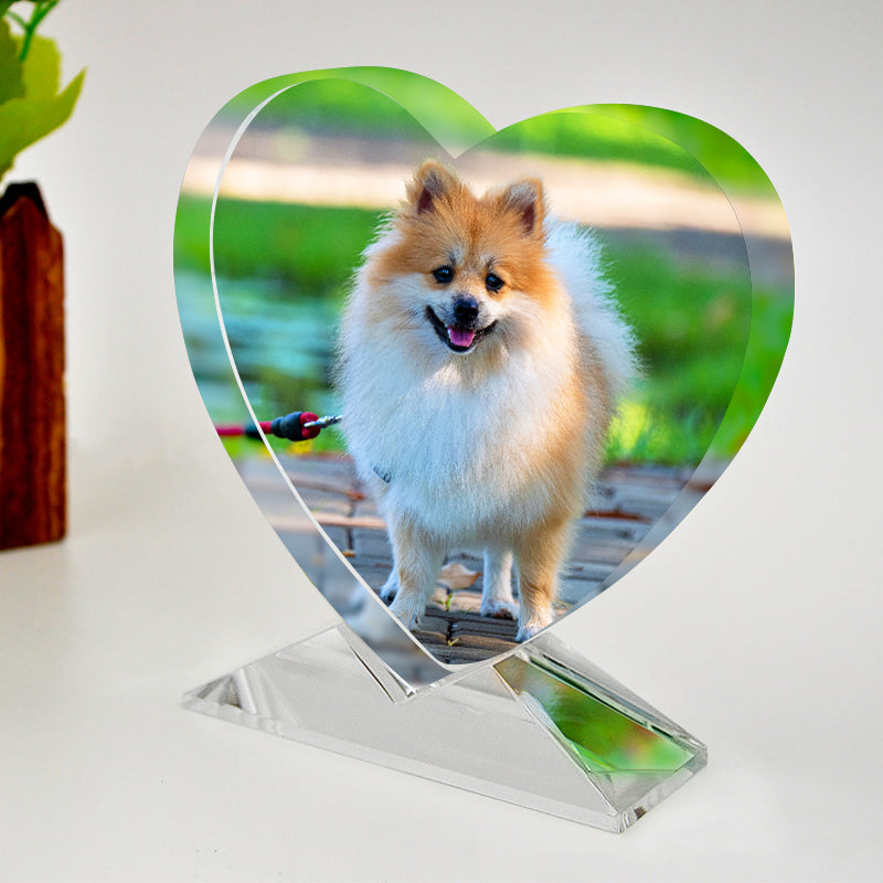 Custom Pet Crystal Picture Frame Personalized Etched Glass Photo Ornament - The Pet Pillow