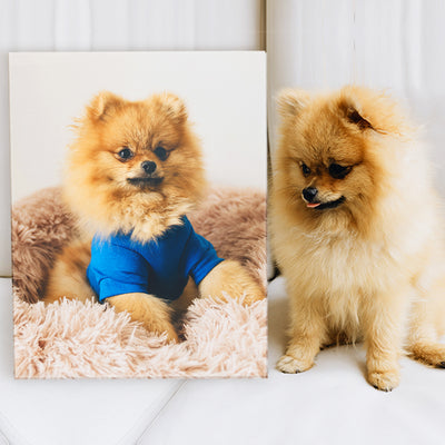 Pet Memorial Canvas Custom from Picture of Dog Portrait Personalized Pet Photo Painting - The Pet Pillow