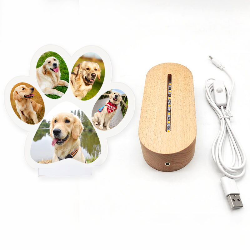 Custom Pet Projection Memorial Keychain with Your Pet Photo as Gift for  Loss of Pet