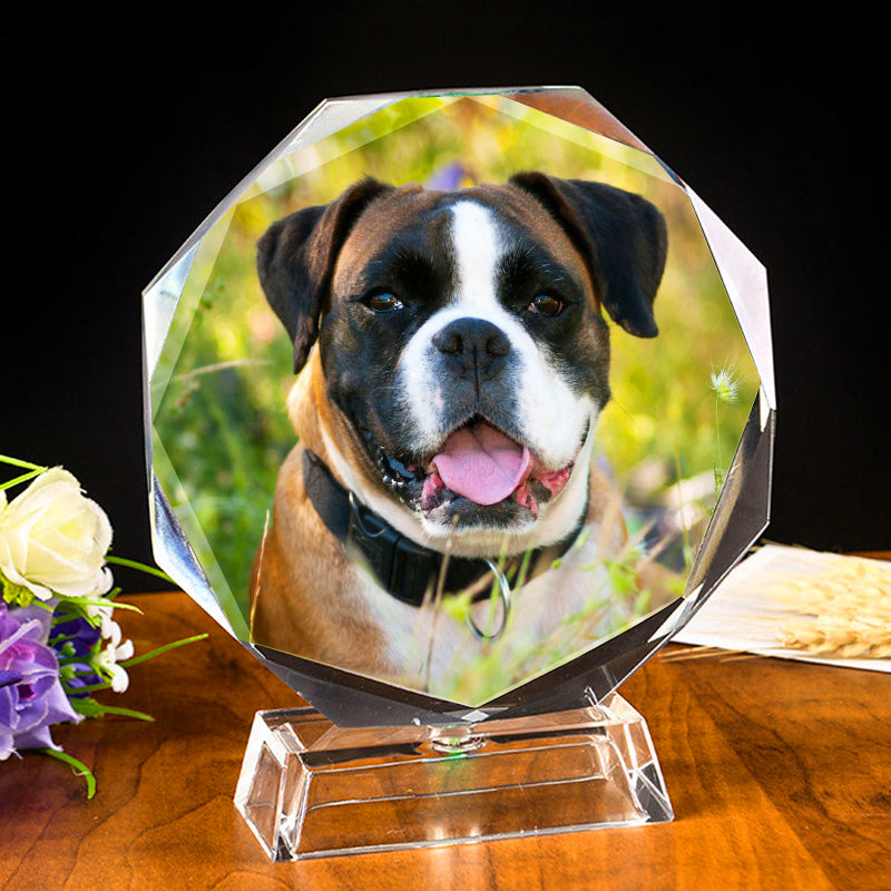 Round Crystal Etched Photo Ornaments Personalized Pet Engraved Glass Picture Frames - The Pet Pillow