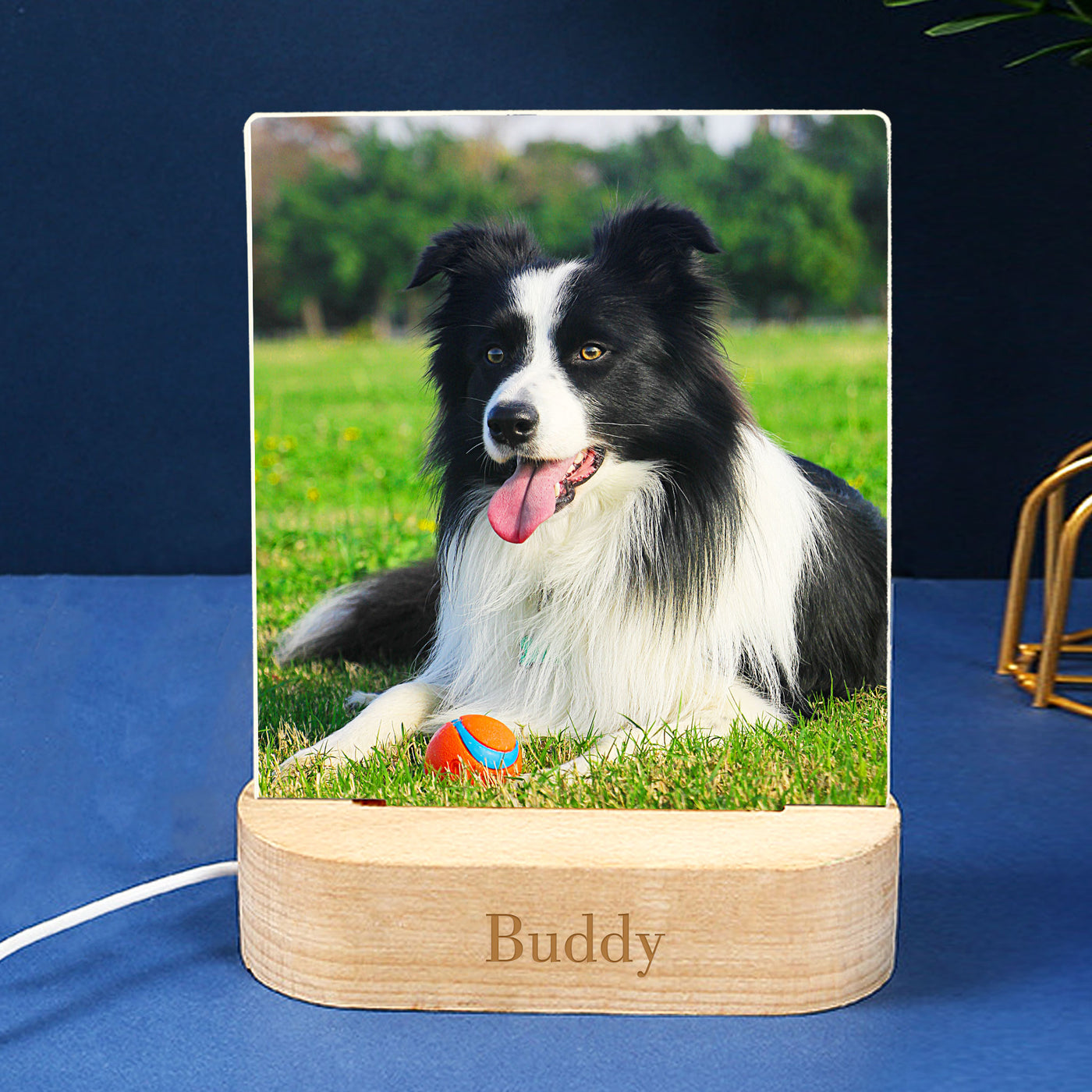 Custom Photo 3d Lamp with Pet Picture, Personalized Pet Night Light for Pet Lovers - The Pet Pillow