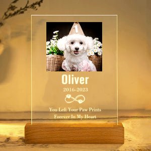 Custom Photo Night Light with Pet Portrait Personalized Pet Sympathy Gift for Loss of Pet - The Pet Pillow