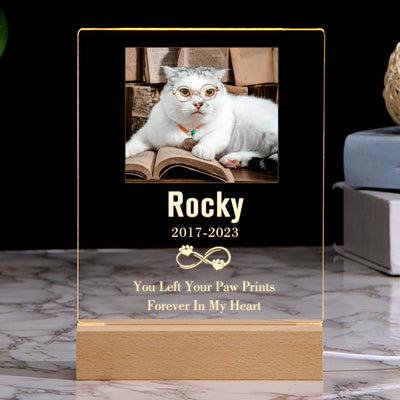 Custom Photo Night Light with Pet Portrait Personalized Pet Sympathy Gift for Loss of Pet - The Pet Pillow