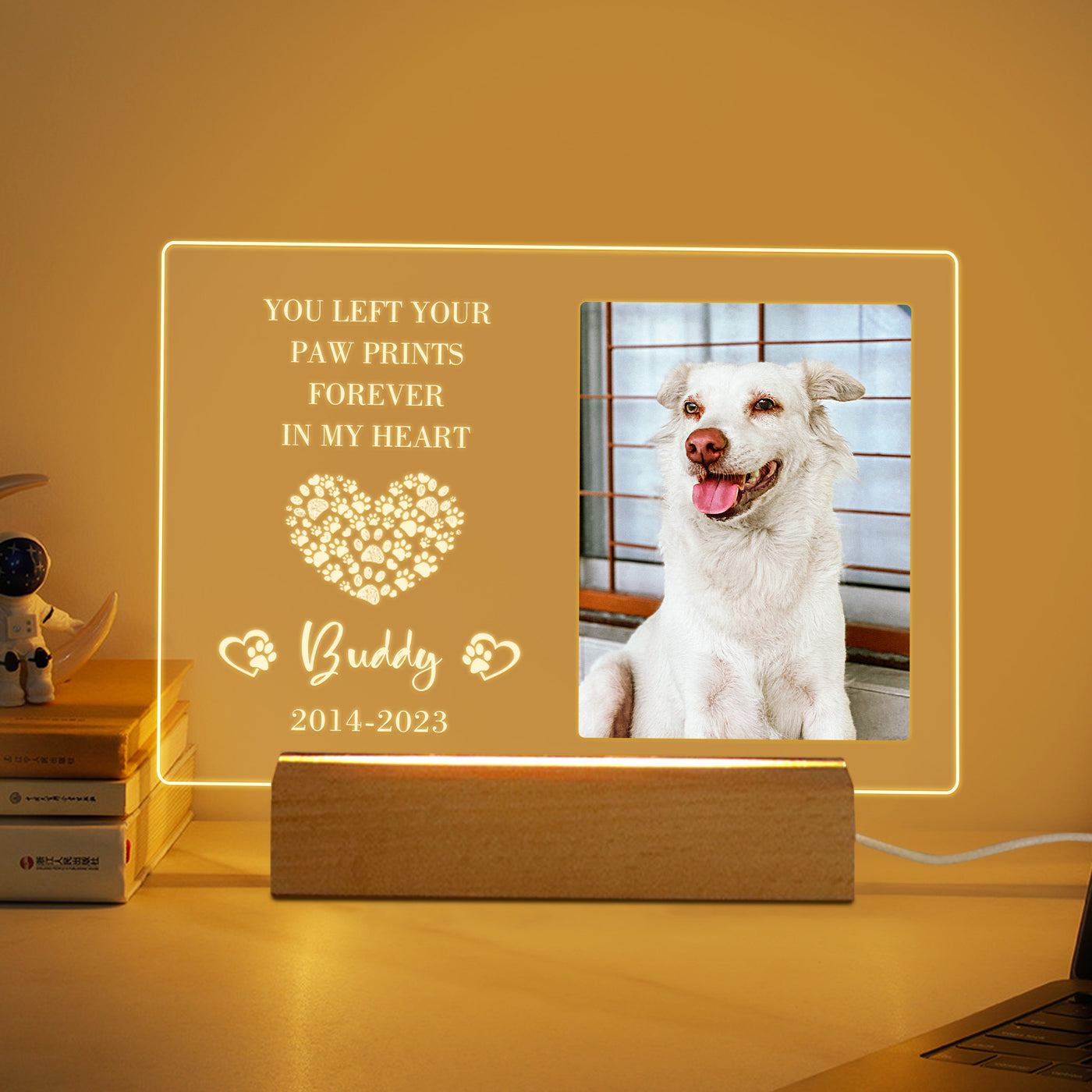 Custom Photo Night Light with Pet Portrait Personalized Pet Sympathy Gift for Loss of Pet - The Pet Pillow