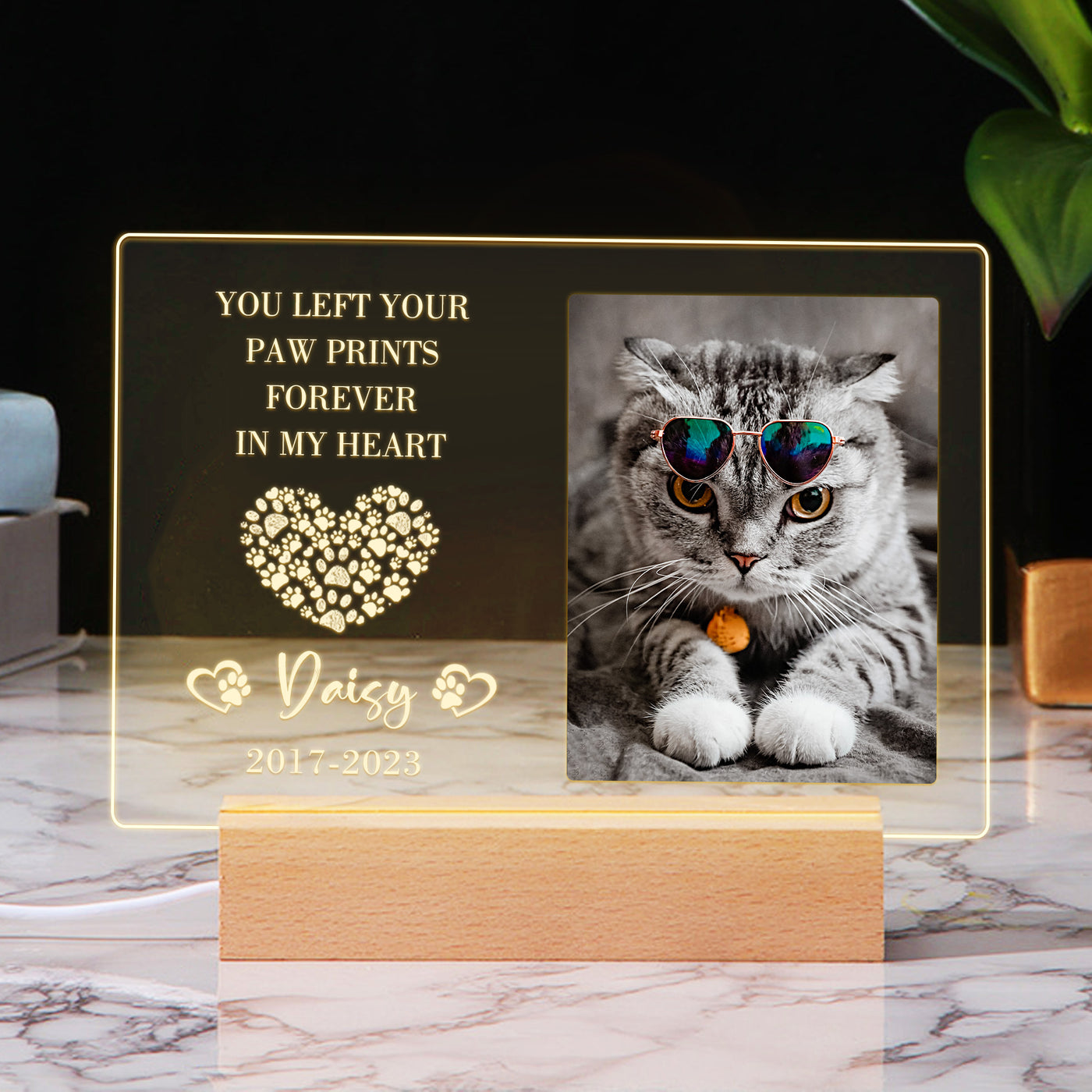 Custom Photo Night Light with Pet Portrait Personalized Pet Sympathy Gift for Loss of Pet - The Pet Pillow