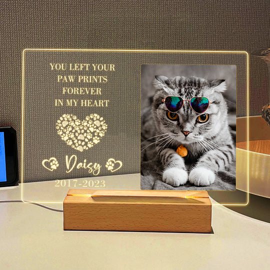 Custom Photo Night Light with Pet Portrait Personalized Pet Sympathy Gift for Loss of Pet - The Pet Pillow