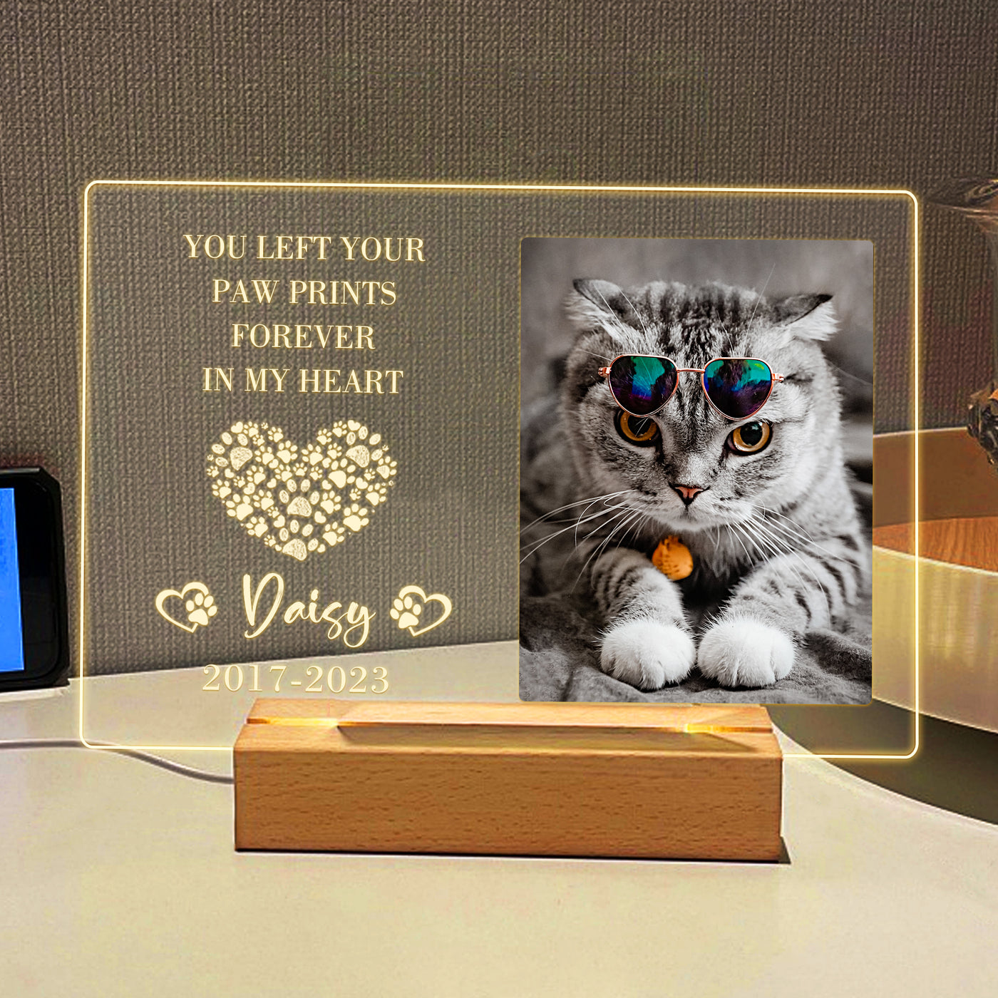 Custom Photo Night Light with Pet Portrait Personalized Pet Sympathy Gift for Loss of Pet - The Pet Pillow