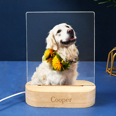 Custom Dog Night Light Acrylic Table Lamp Personalized Pet Memorial Gift for Holiday - The Pet Pillow