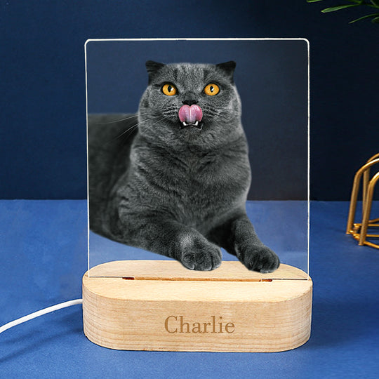Custom Dog Night Light Acrylic Table Lamp Personalized Pet Memorial Gift for Holiday - The Pet Pillow