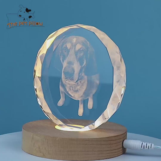 Custom Round Crystal Photo with Pet Portrait Personalized Laser Engraved Picture Gift