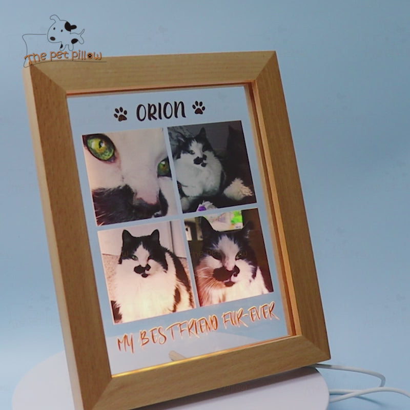 Customized Pet Night Light with Dog Portrait Personalized Collage Photo Frame Light