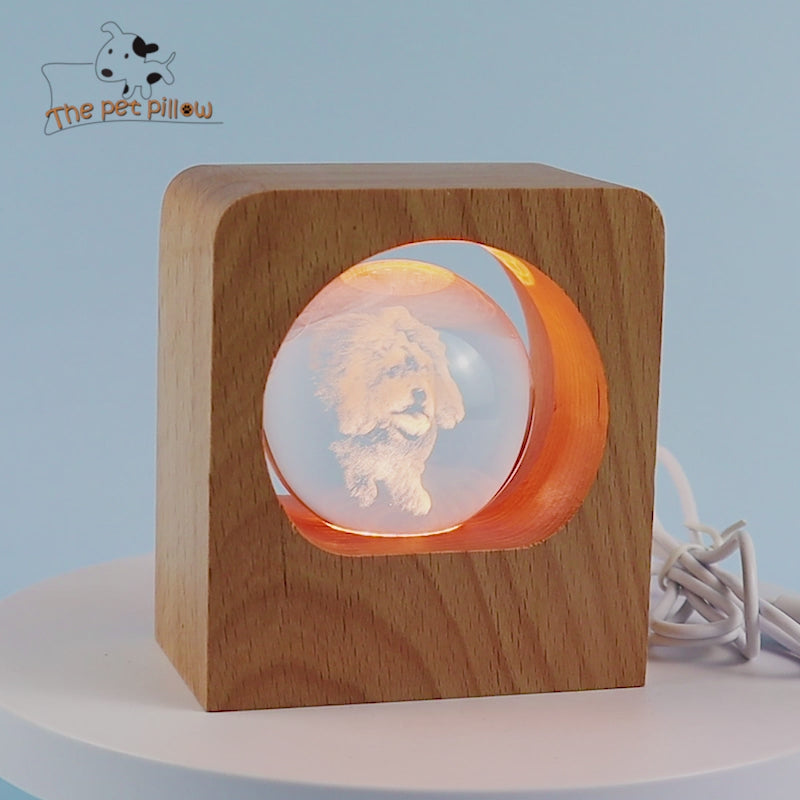 Personalized 3d Photo Crystal Light with Laser Engraved Pet Pictures