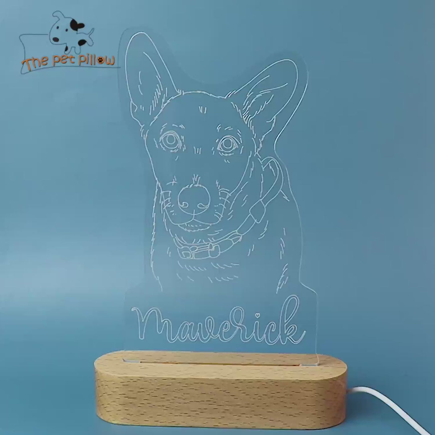 Custom Pet 3d Photo Lamp with Name Engraved, Personalized Led Night Light for Bedroom