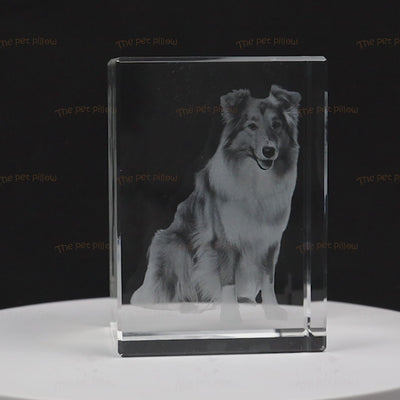 Custom Pet 3d Laser Crystal Photo Cube with Dog Portraits Memorial Gift